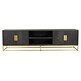 Szafka RTV 4-drzwiowa BLACKBONE GOLD 220 - czarny/złoty