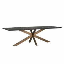 Stół jadalniany BLACKBONE BRASS 260x100 - czarny/mosiądz