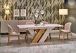 Stół rozkładany BRANDON 160/200x90 - kaszmir/dąb cremona