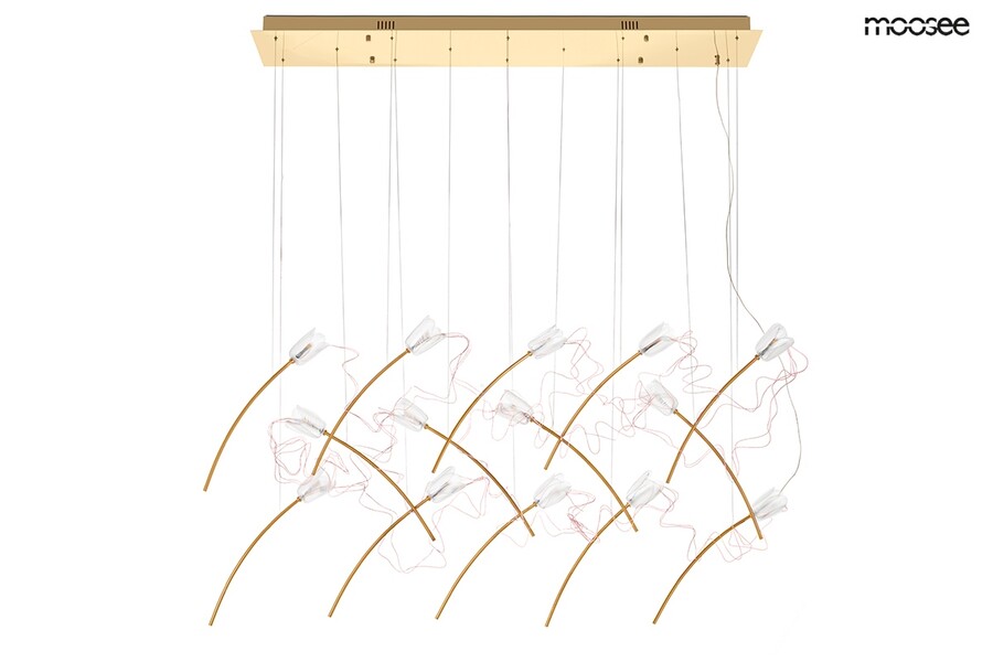 MOOSEE Lampa wisząca TULIPPE 14 LINE - złoty
